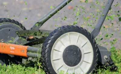 stihl podadoras en trabajo de poda de setos