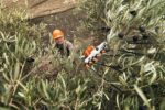 Peine de dedos de carbono del vareador STIHL SPA 130