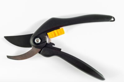 tijeras de podar Stihl batería en uso en viñedo